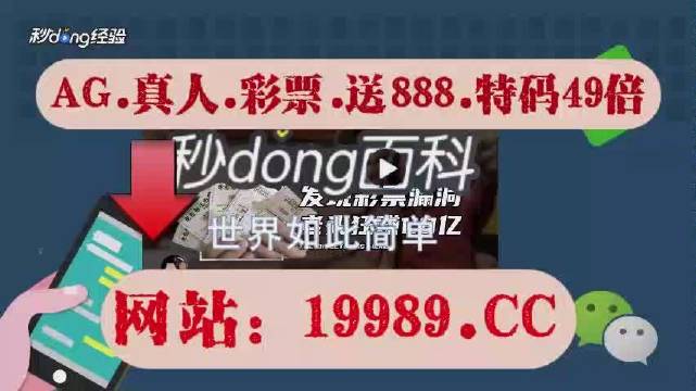 2024澳门天天开好彩免费,灵动解答解释落实_变速版94.78.44